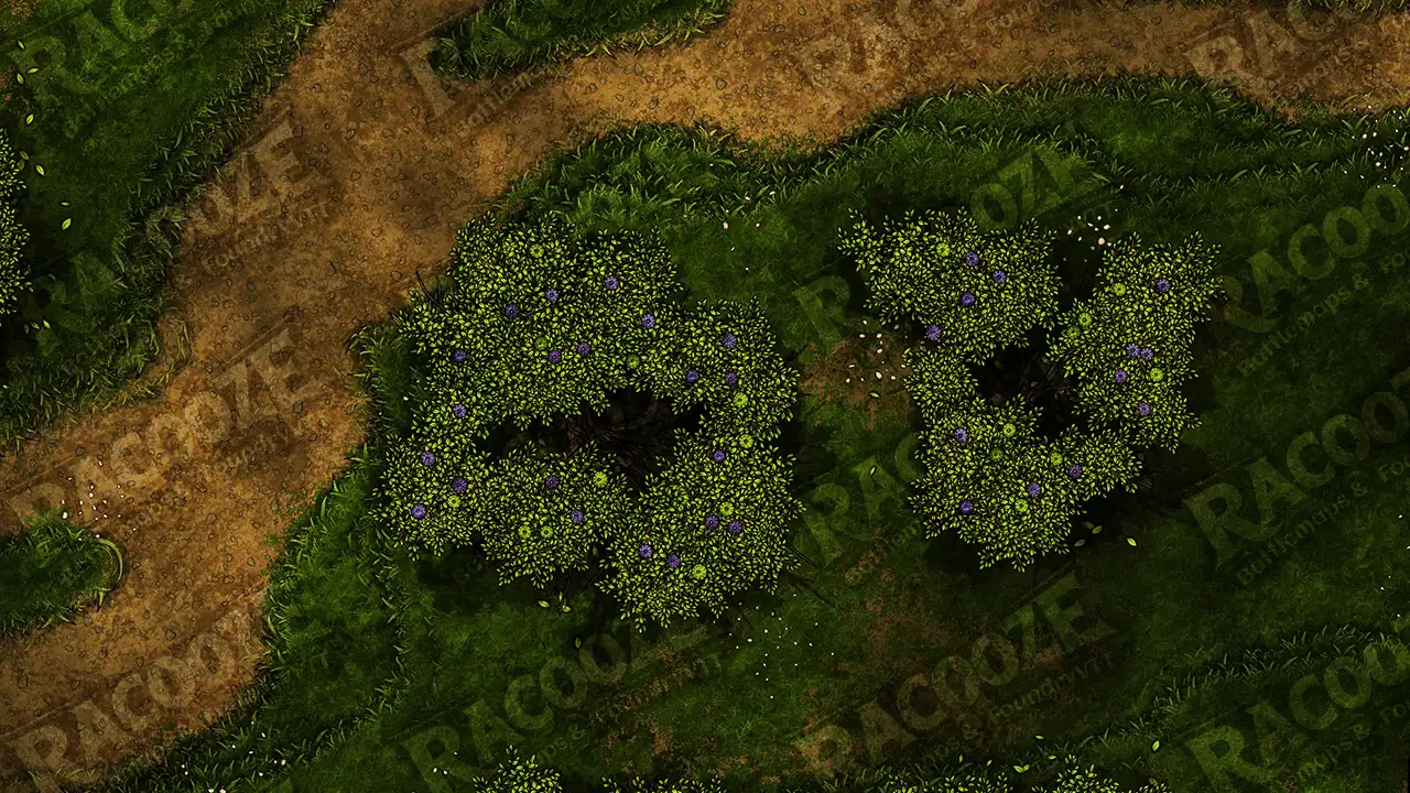 Baobab Orchard preview