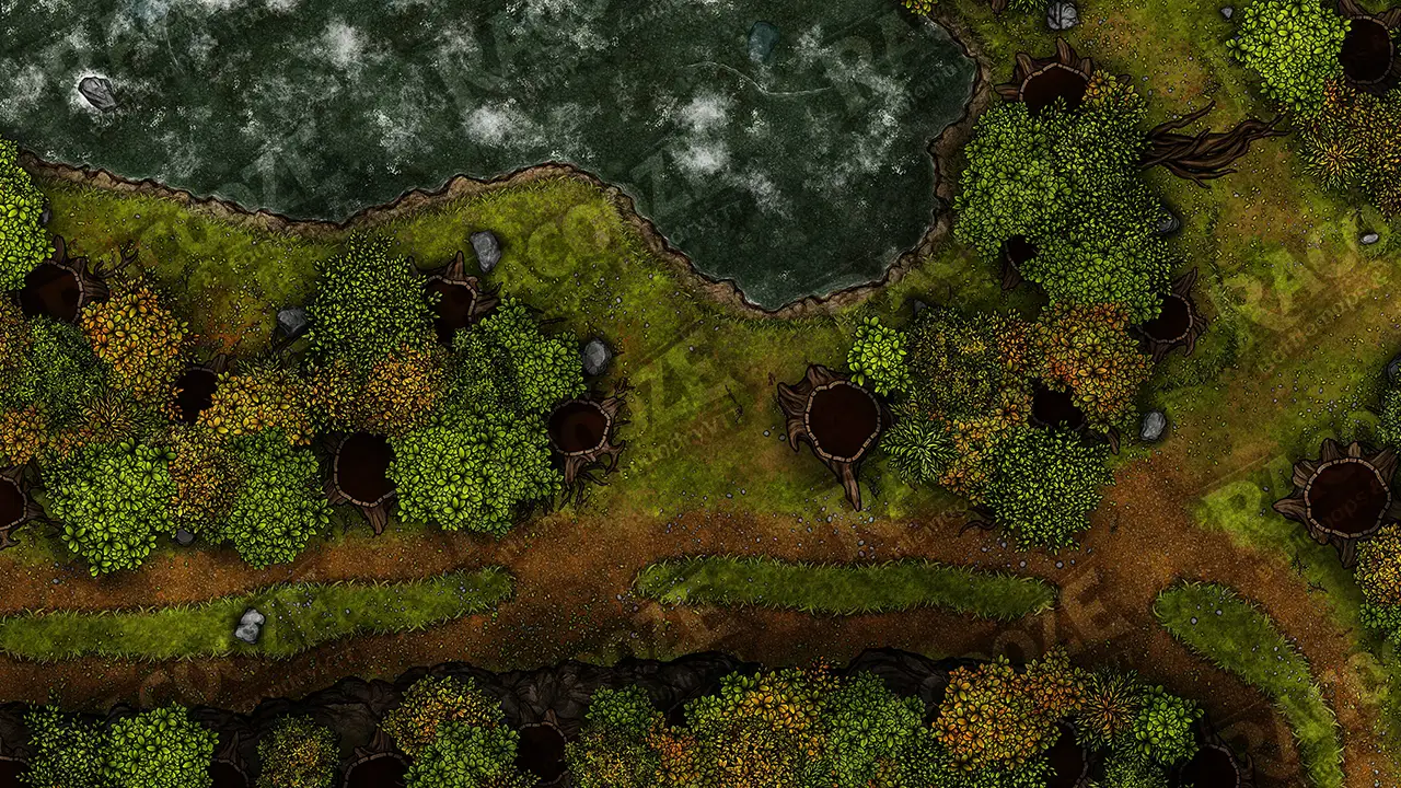 Faelly Woods preview