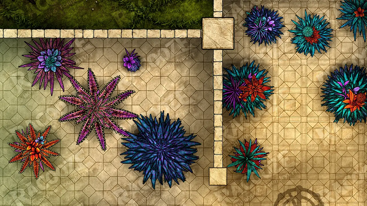 Protea Pavilion preview