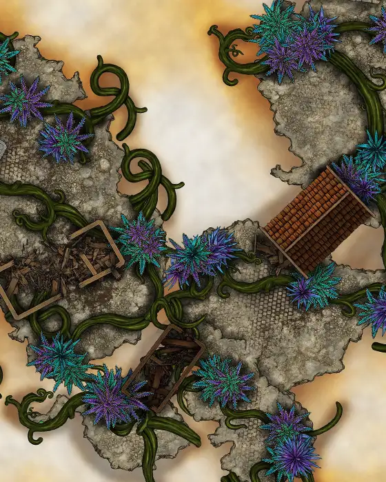 The Market & The Residence